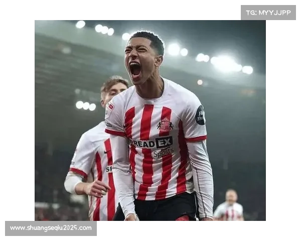 黑马伯恩茅斯桑德兰冲进前四 英超积分榜大洗牌